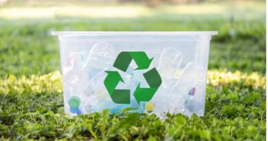 Reciclagem correta de eletroeletrônicos movimenta a cadeia produtiva