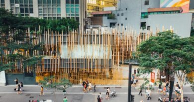 Exposições refletem sobre sustentabilidade em São Paulo