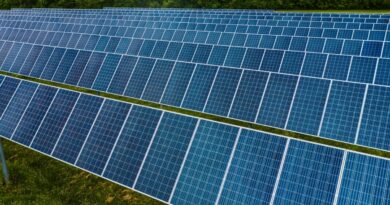 Evolução da energia renovável trará benefício para sociedade