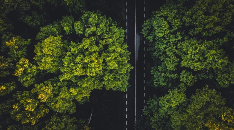 Empresas se adaptam às novas exigências de sustentabilidade