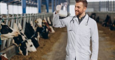 Boas práticas na agropecuária incluem higienização técnica