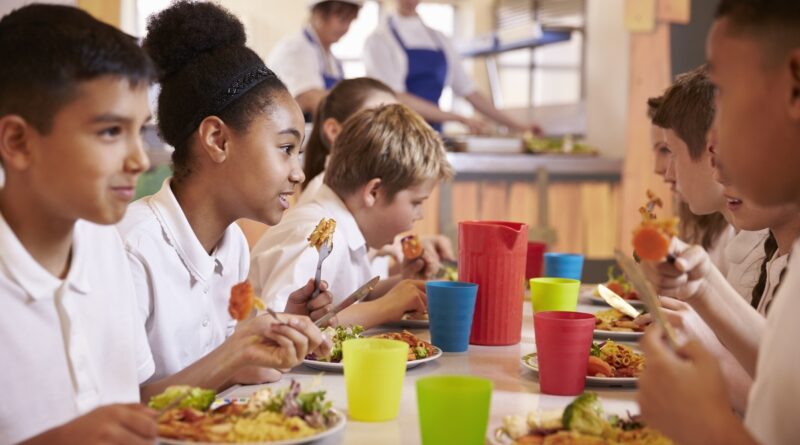 Edital de segurança alimentar abre inscrições para projetos