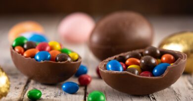 Chocolate é altamente tóxico para os cães