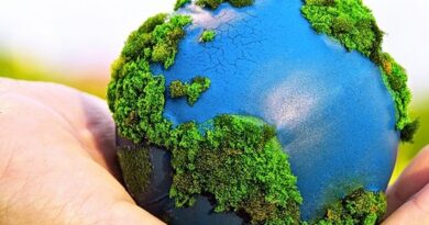 ESG é uma estratégia rentável e sustentável