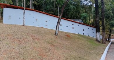 Setor funerário se adapta à despedida humanizada de pets
