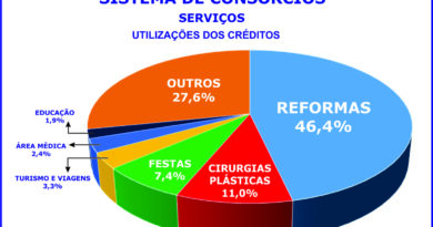 Reformas, plásticas e festas lideram o consórcio de serviços