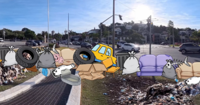 MIS-SP recebe 11ª edição do MegaCities ShortDocs
