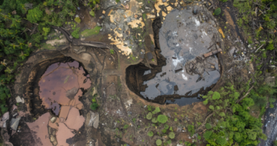 AMIG cobra ação contra mineração ilegal no Brasil