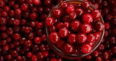 Cranberry ganha espaço como aliado na saúde