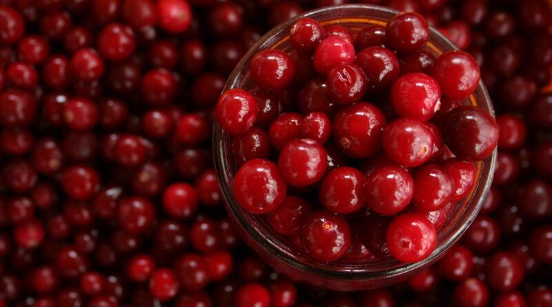 Cranberry ganha espaço como aliado na saúde