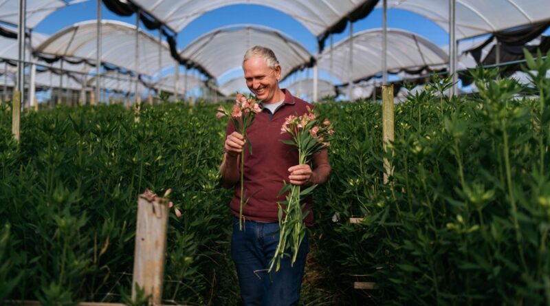 Flor tem origem: o mercado que o Brasil ainda não vê