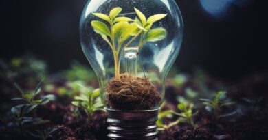 Projeto Conexões em Teias traz inovação ao MIT Energy Summit
