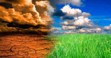 El Niño provoca uma série de impactos climáticos