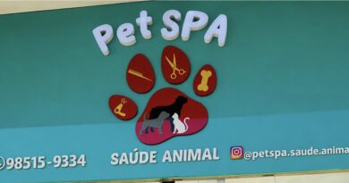 Pet Spa Saúde Animal Completa 3 Anos Em Manaus Com Festival E Programação Especial Para Pets