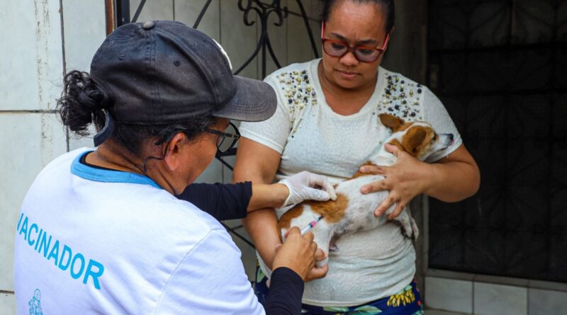 Prefeitura de Manaus divulga resultado preliminar de Processo Seletivo Simplificado para campanha antirrábica animal de 2026