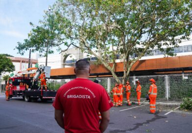 Podagem preventiva no entorno da CMM reforça segurança de servidores, comerciantes e pedestres