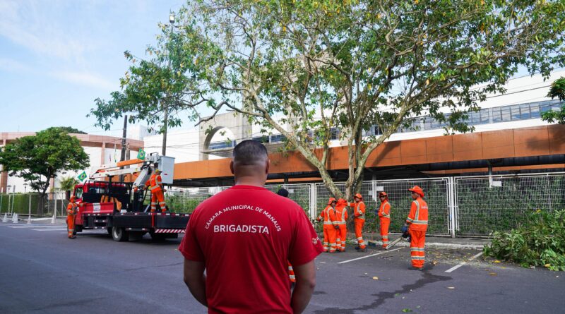Podagem preventiva no entorno da CMM reforça segurança de servidores, comerciantes e pedestres