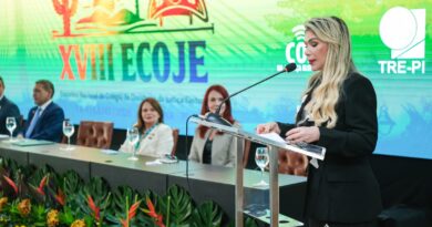 Sob liderança da juíza Lídia de Abreu Carvalho, XVIII Encontro do Colégio de Ouvidores da Justiça Eleitoral reforça papel das ouvidorias na defesa da democracia