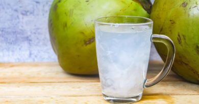Água de coco ganha espaço no consumo saudável no Brasil
