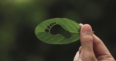 Eficiência Energética com resultados para empresas