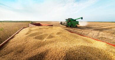 Grupo do agro aprova recuperação judicial com deságio de 85%