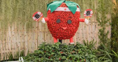 Festa de Flores e Morangos de Atibaia apresenta novidades