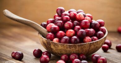 Novas evidências científicas sobre o uso de cranberries