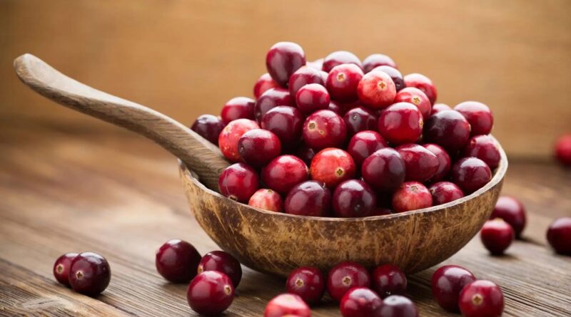 Novas evidências científicas sobre o uso de cranberries