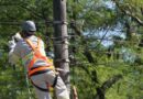 Manaus terá interrupção de energia em diferentes bairros a partir desta segunda-feira (31), veja seu bairro