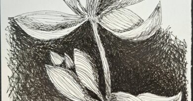 Exposição “UNA”, de Roberto Galvão, reúne obras em Fortaleza