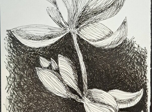 Exposição “UNA”, de Roberto Galvão, reúne obras em Fortaleza