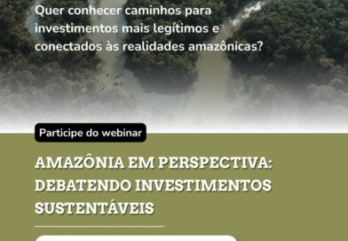 Webinário debate caminhos para investimentos sustentáveis