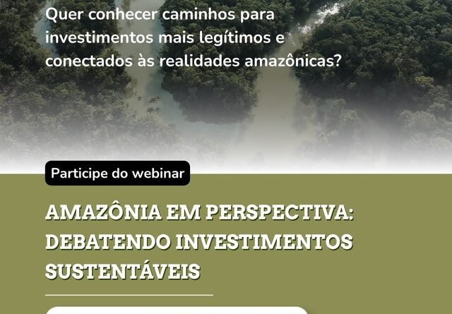 Webinário debate caminhos para investimentos sustentáveis