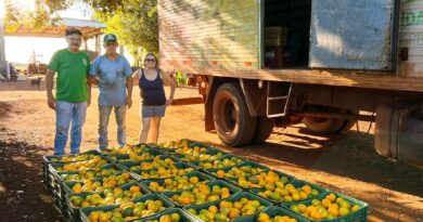 Sidrolândia lidera CeasaMS com a força do pequeno agricultor