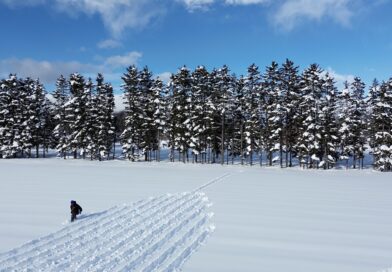 Land Art: artistas transformam natureza em telas