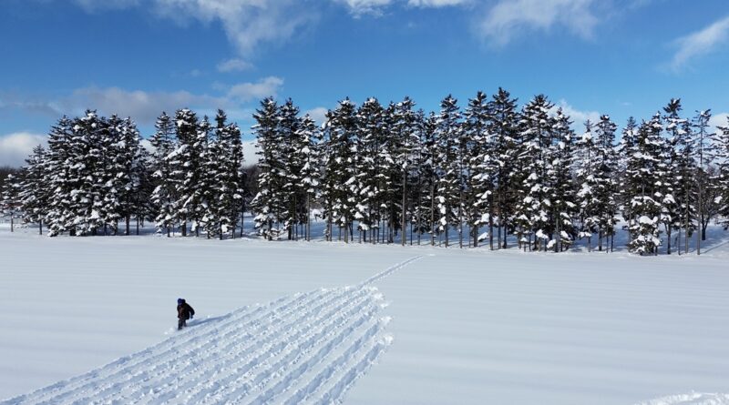 Land Art: artistas transformam natureza em telas