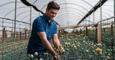 Primavera destaca diversidade no mercado de flores