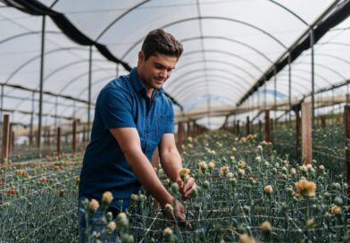 Primavera destaca diversidade no mercado de flores
