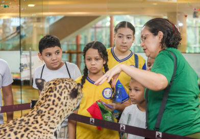 Prefeitura e Inpa promovem exposição ‘Animais da Amazônia’ em Manaus
