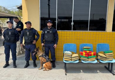 Atuação da cadela Zaya da Guarda Municipal de Manaus leva à apreensão de 30 quilos de entorpecentes em operação integrada