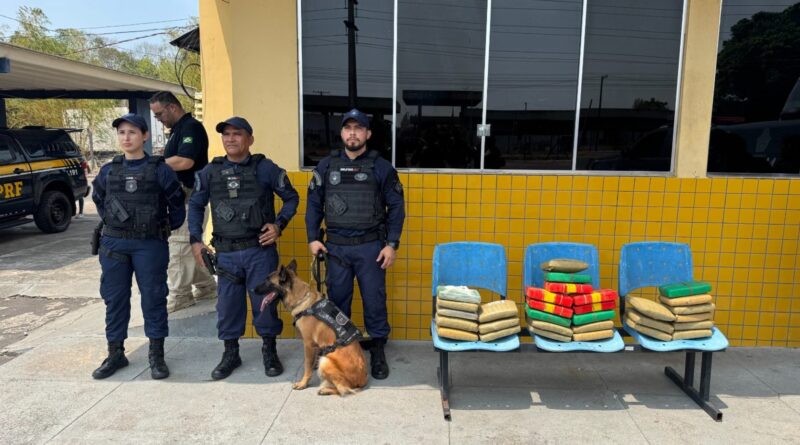 Atuação da cadela Zaya da Guarda Municipal de Manaus leva à apreensão de 30 quilos de entorpecentes em operação integrada