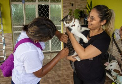 Prefeitura segue com vacinação de cães e gatos contra raiva nos bairros e em 27 postos fixos