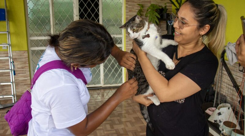 Prefeitura segue com vacinação de cães e gatos contra raiva nos bairros e em 27 postos fixos