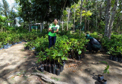 Prefeitura de Manaus celebra Dia da Árvore com recordes de arborização e doação de mudas