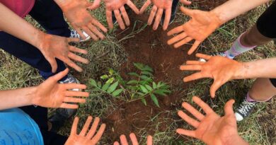Relatórios de sustentabilidade de escolas ganham relevância