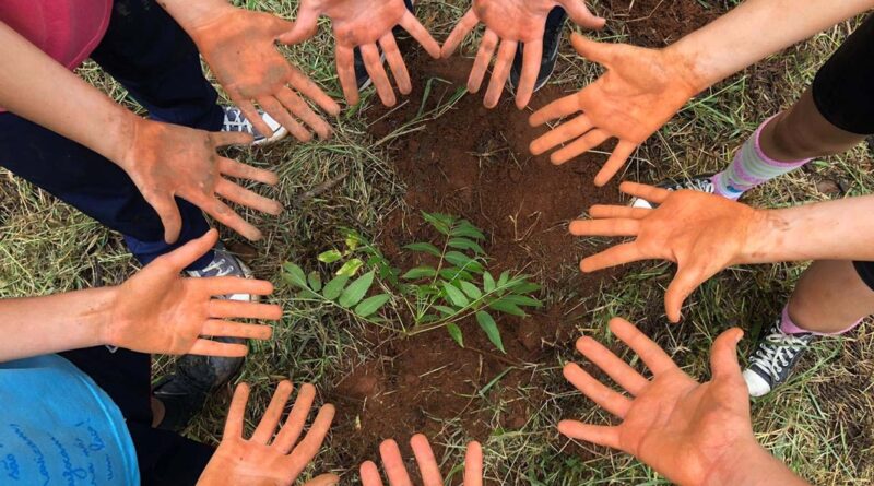 Relatórios de sustentabilidade de escolas ganham relevância