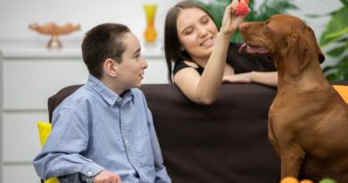 Atendimento gratuito com cães para crianças neurodivergentes