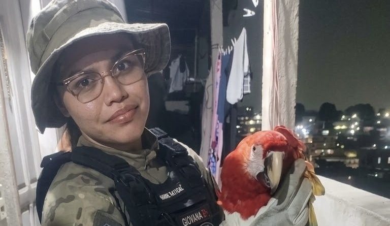 Em nota, a Prefeitura de Manaus informa resgate de duas aves e uma jiboia em diferentes zonas da capital