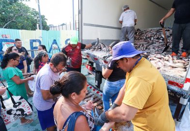 Prefeitura de Manaus beneficia cerca de 4,5 mil famílias na zona Leste com distribuição de 70 mil peixes