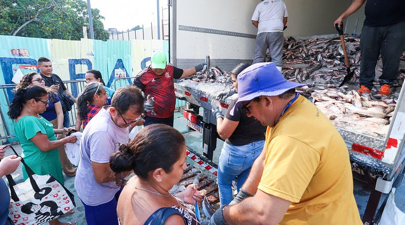 Prefeitura de Manaus beneficia cerca de 4,5 mil famílias na zona Leste com distribuição de 70 mil peixes